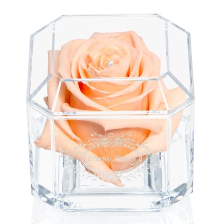 Eternal Petals A 100% Real Rose That Lasts A Year - The Perfect Unique Gift for Women and Men, an, A Birthday Gift - White Gold Solo with Swarovski Crystal (Plum)