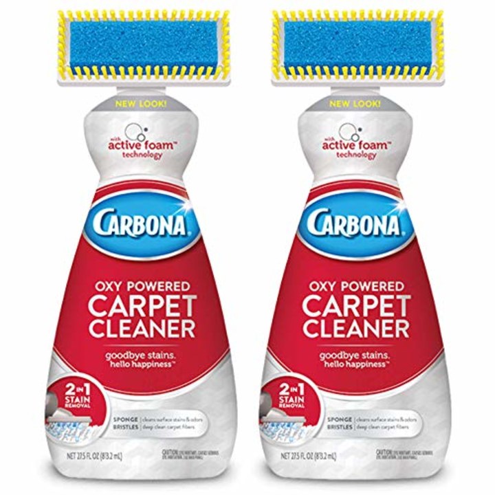 Carbona Carpet Cleaner with Brush