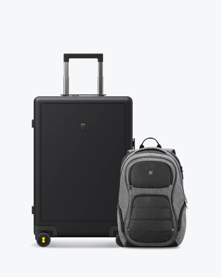 Level8 Condor Backpack and Textured Luggage Set