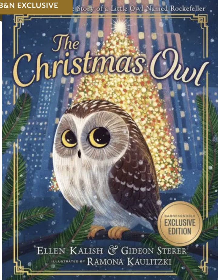 "The Christmas Owl"
