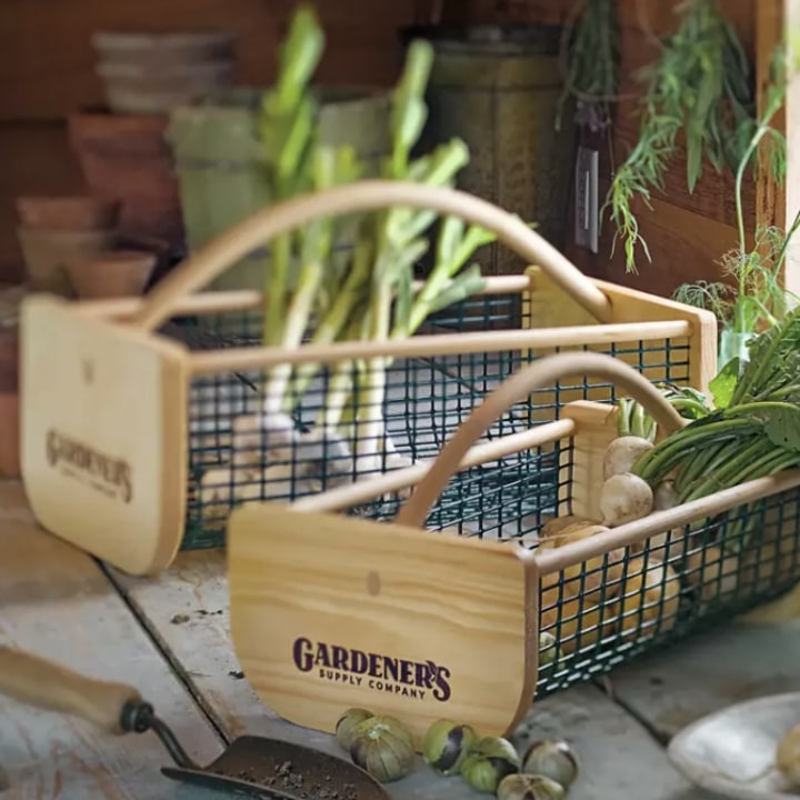 Gardener’s Supply Company Garden Hod Harvest Basket