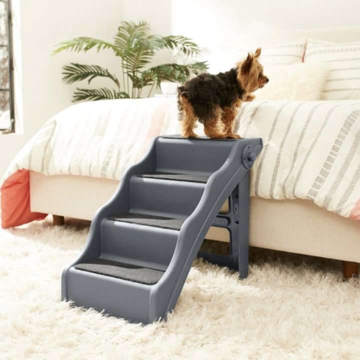 FRISCO Foldable Nonslip Cat & Dog Stairs