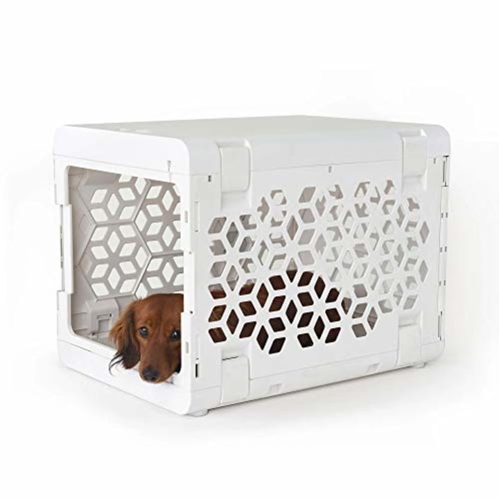 KINDTAIL Pawd Collapsible Dog &amp; Cat Crate