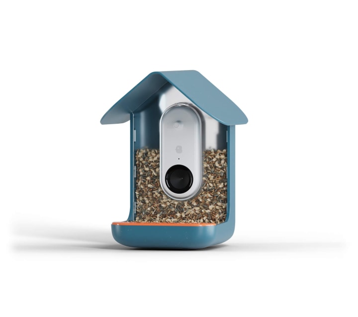 Bird Buddy with Solar Roof