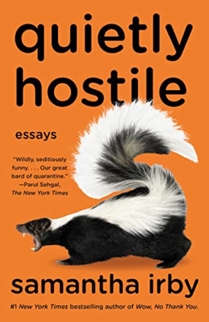 &quot;Quietly Hostile&quot; by Samantha Irby