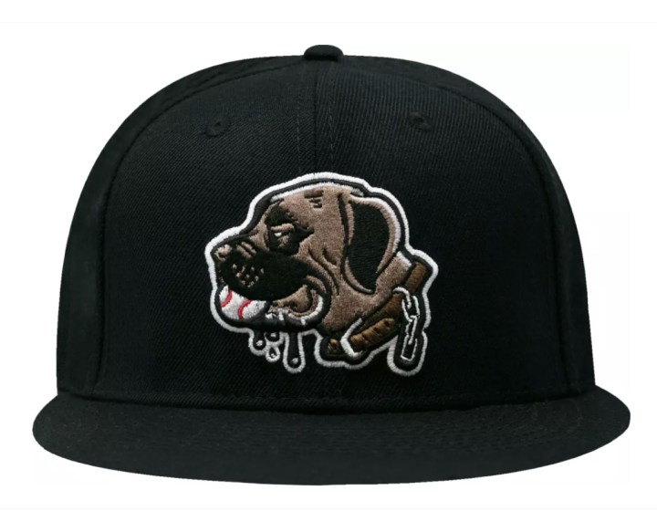 Sandlot Snapback