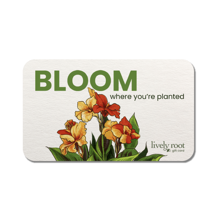 Lively Root Gift Card