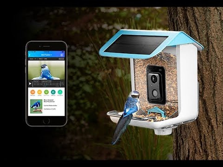 Video Camera Bird Feeder