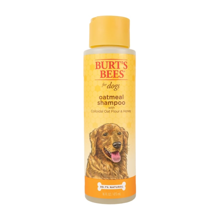 Burt's Bees Oatmeal Dog Shampoo