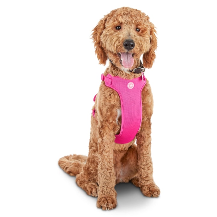 Good2Go Pink Big Dog Harness