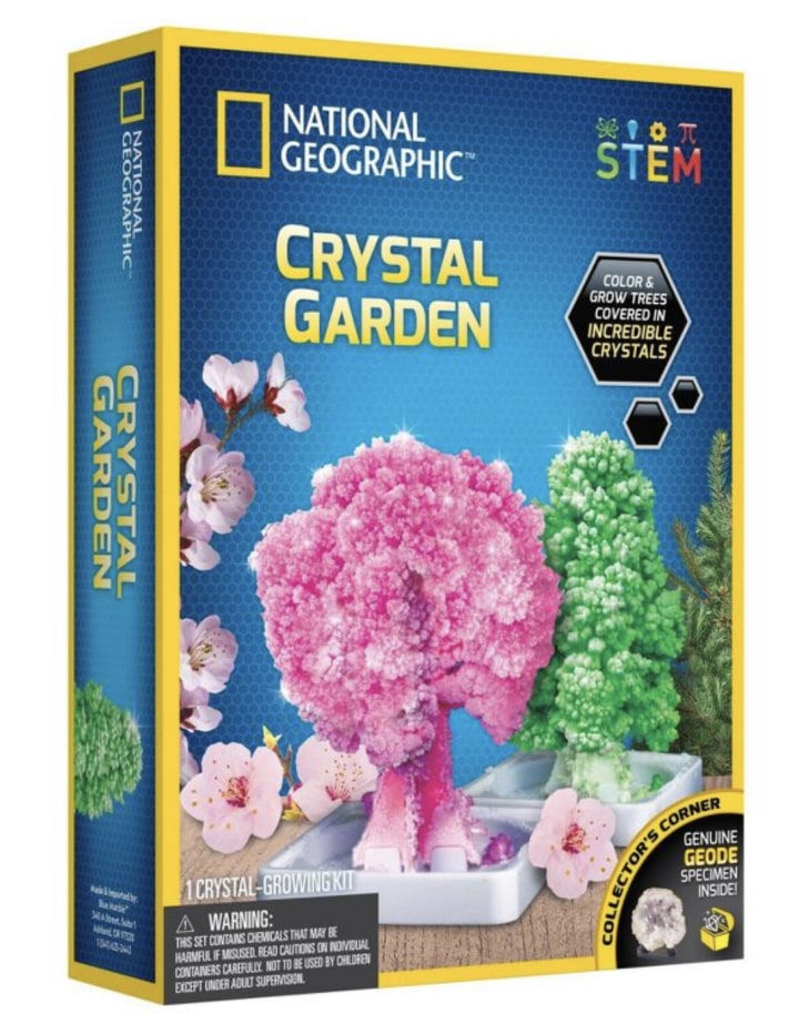 Crystal Garden Science Kit
