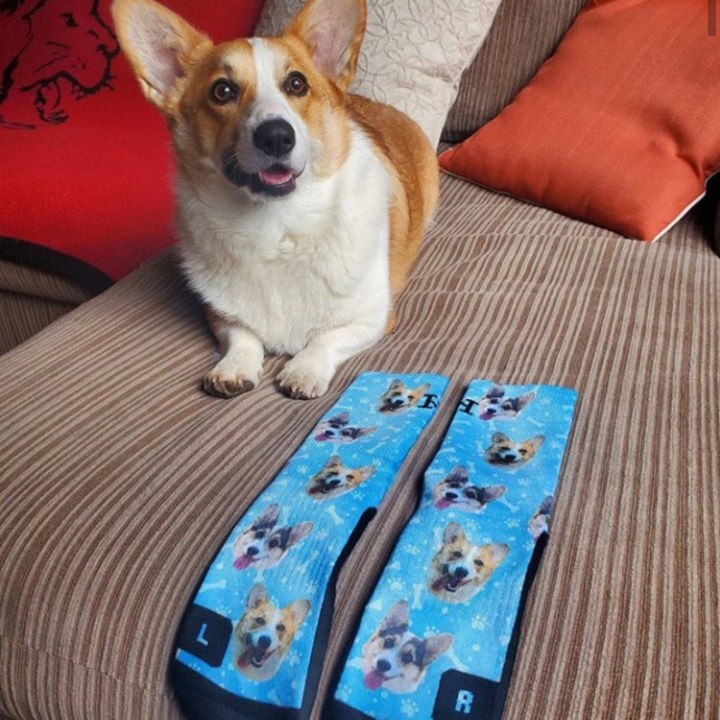 Customized Dog Socks - Put Your Cute Dog on Custom Socks, Dog Lovers, Dog GIft, Cute Dog Personalized, Dog Gift Socks, Fathers Day Gift