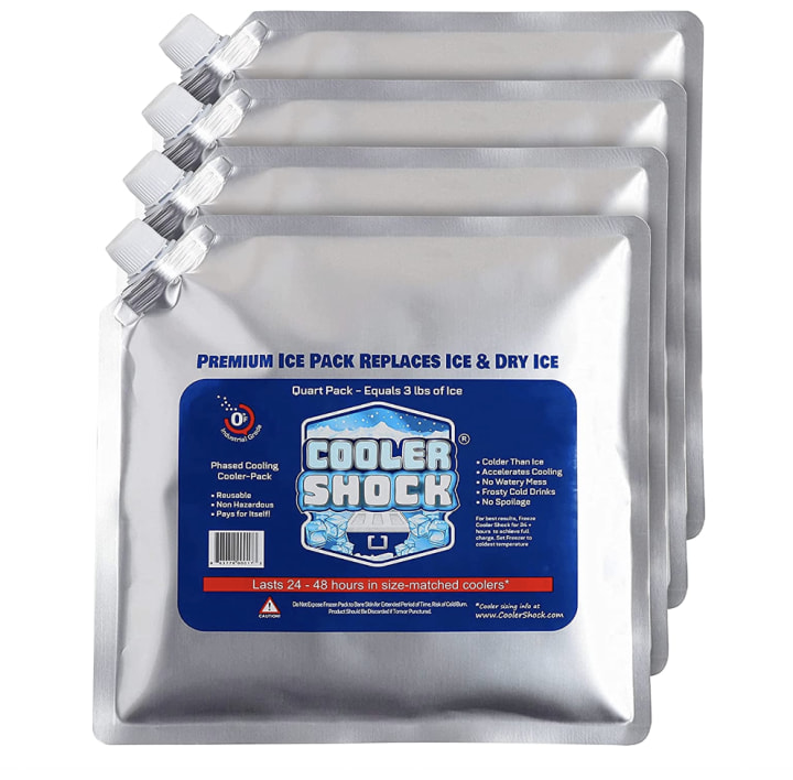The 7 best ice packs for coolers of 2023 - Internewscast Journal