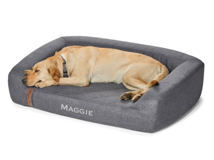 Orvis RecoveryZone Couch Dog Bed