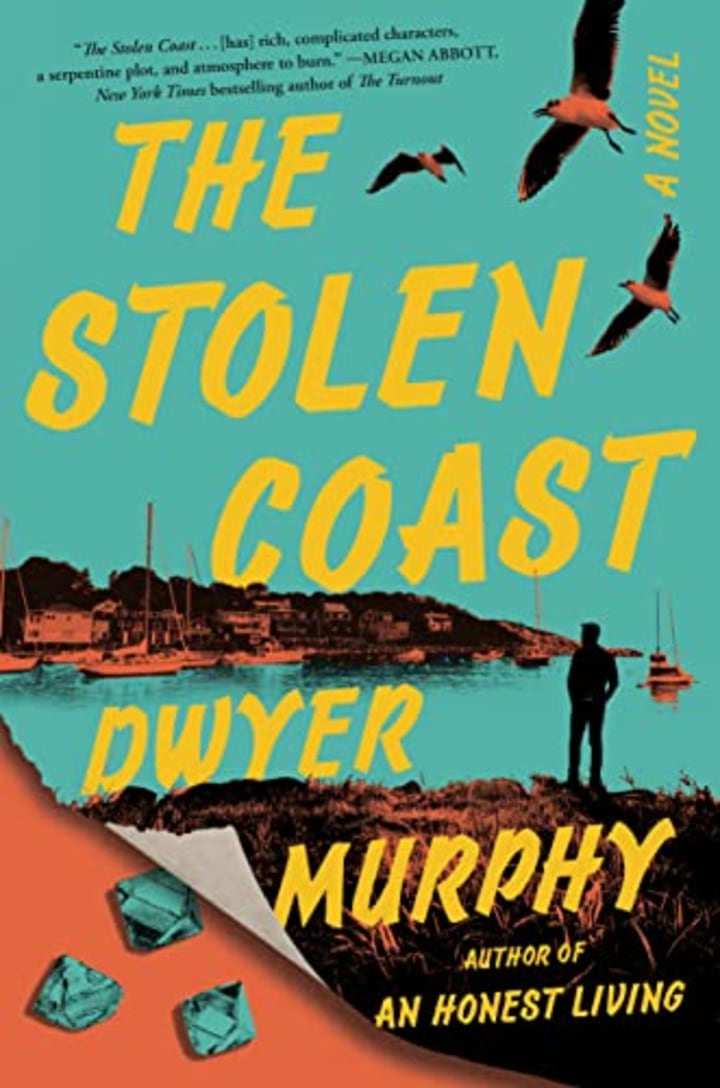 &quot;The Stolen Coast&quot; by Dwyer Murphy