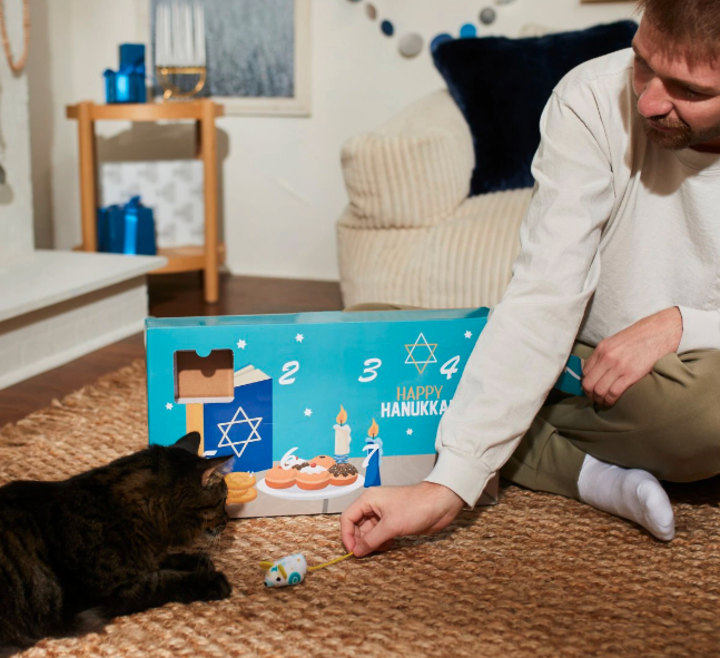Holiday 8 Days of Hanukkah Cardboard Advent Calendar with Toys for Cats