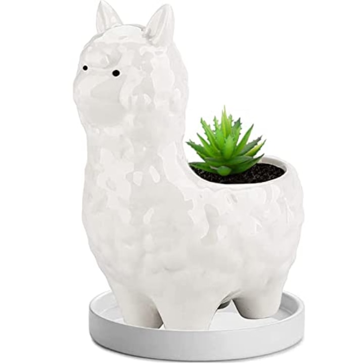 JIAEN Succulent Planters Pot with Drainage Tray, 6\" Cute Llama White Ceramic Cactus/Flower Container, Animal Alpaca Bonsai Holder for Indoor Plants