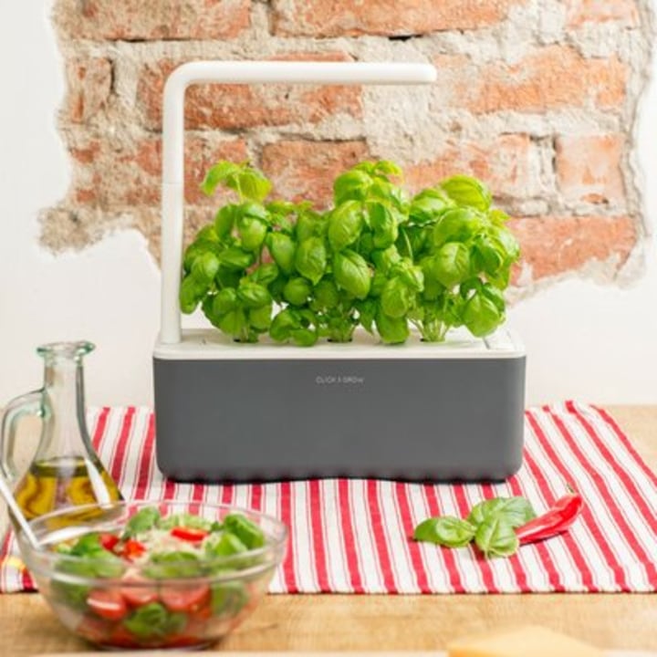 Click &amp; Grow Indoor Herb Garden Kit with Grow Light