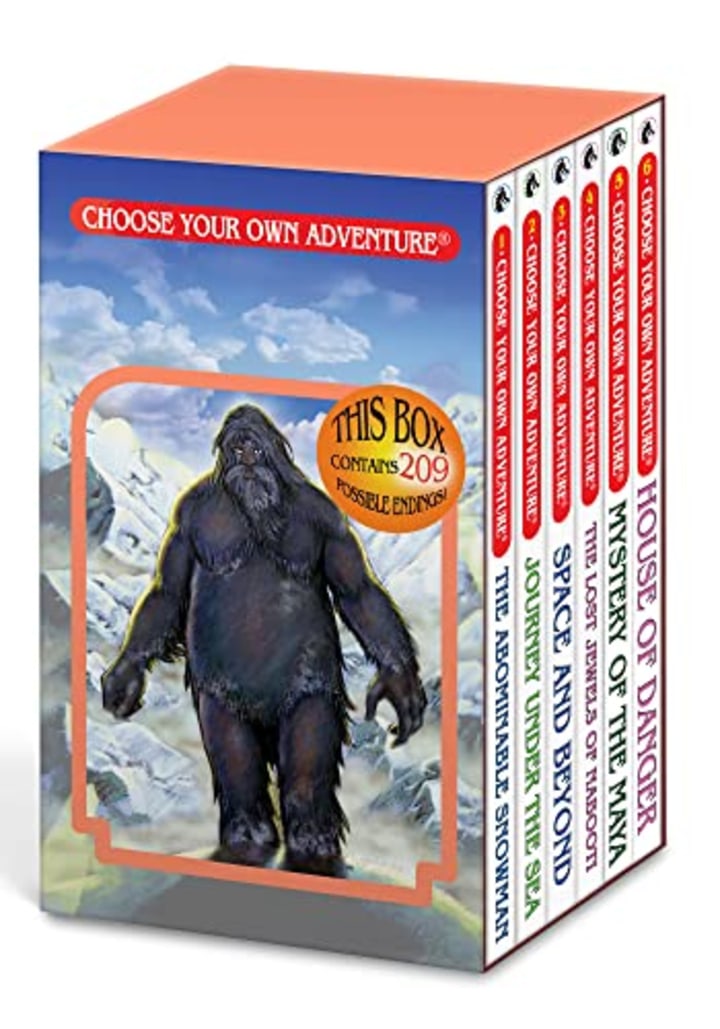 Choose Your Own Adventure 6-Book Boxed Set