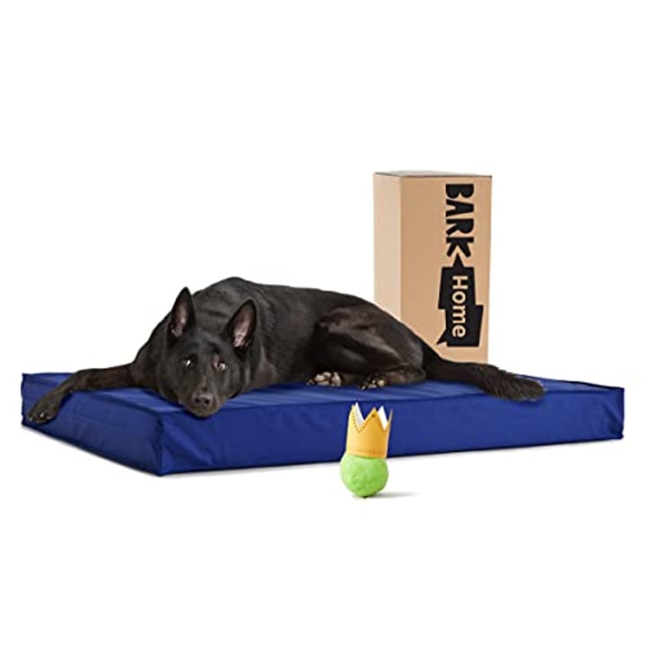 BarkBox Outdoor Dog Bed