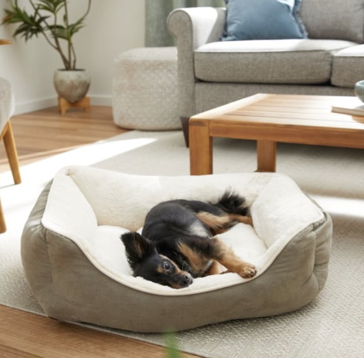 Frisco Cat & Dog Bed