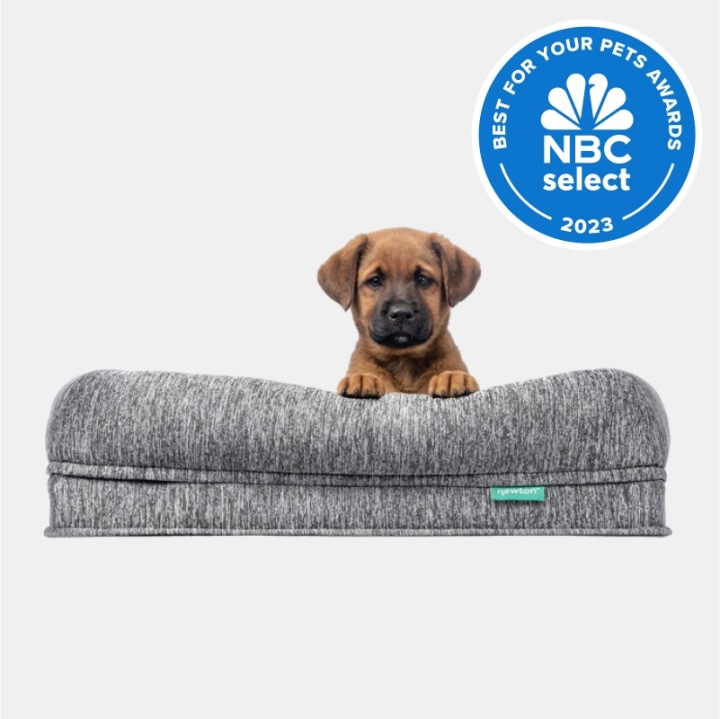 Newton Baby Dog Bed