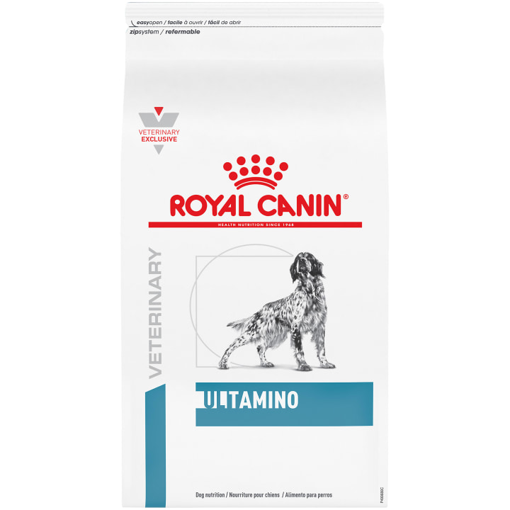 Dog food that helps with itching best sale