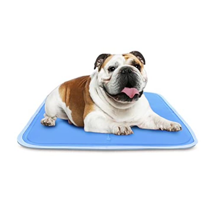 Best dog cooling mat to help your dog regulate his temperature on