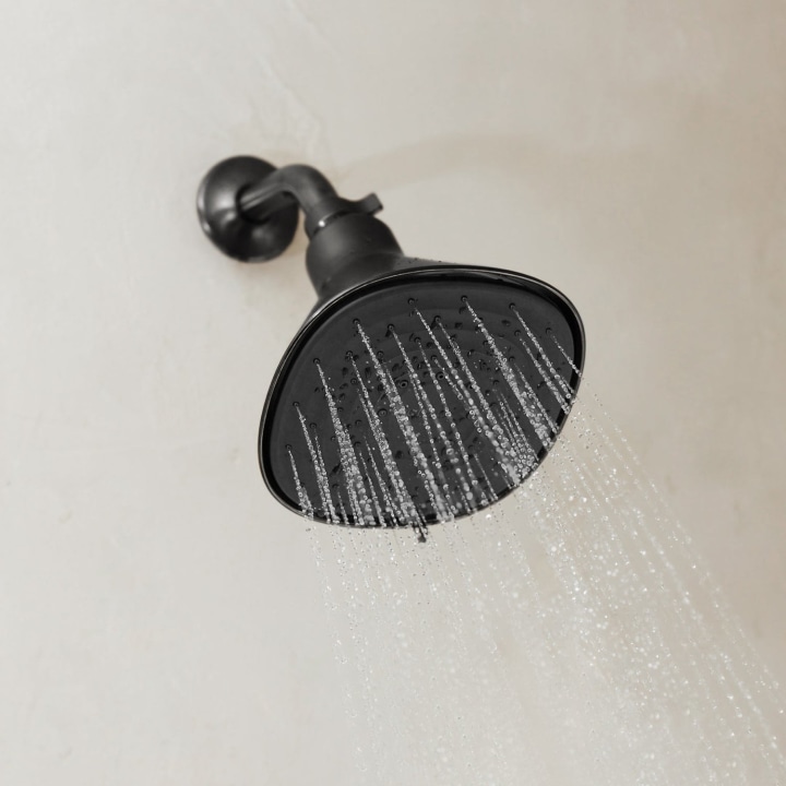 Canopy Filtered Showerhead