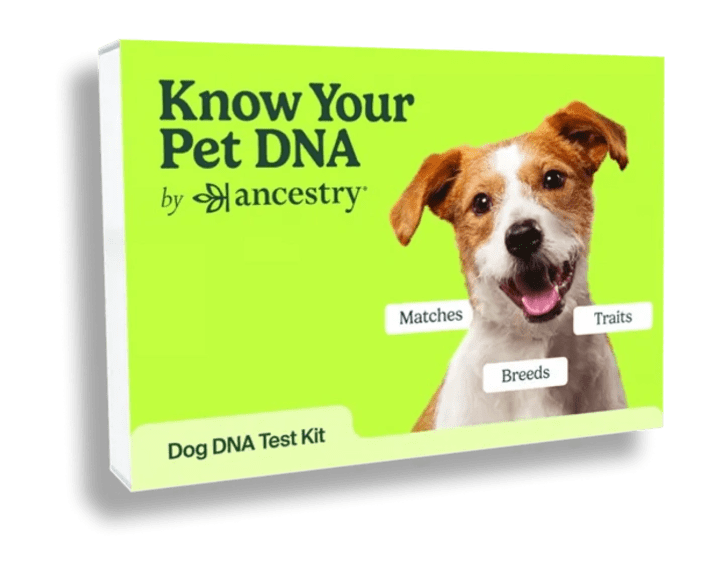 Ancestry Know Your Pet DNA Kit