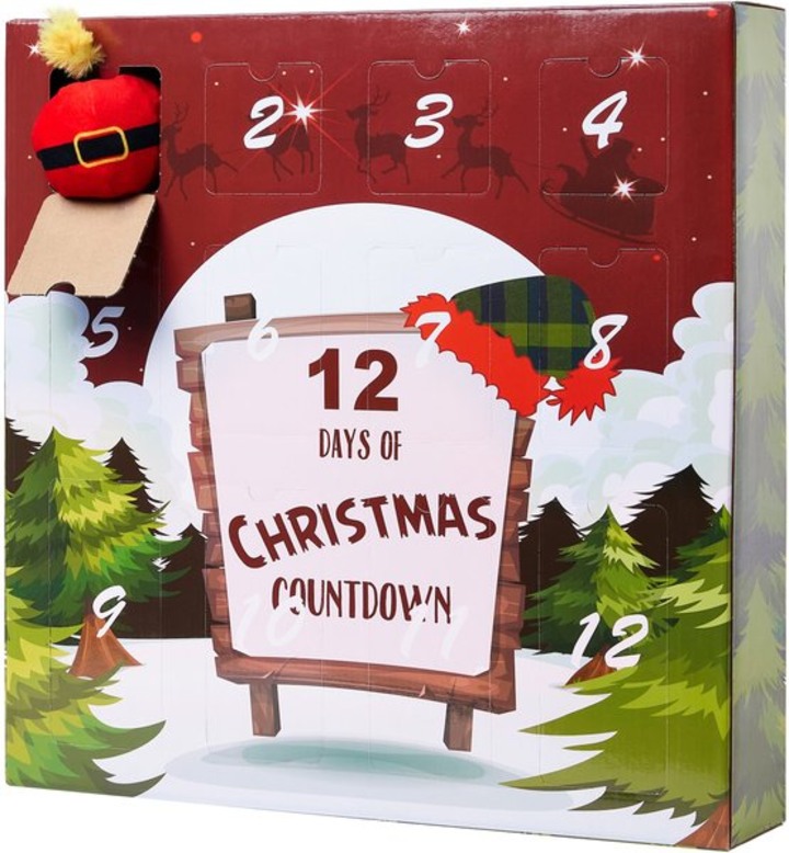 12 Days of Christmas Cardboard Advent Calendar with Toys for Cats