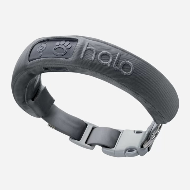 Halo Collar 3