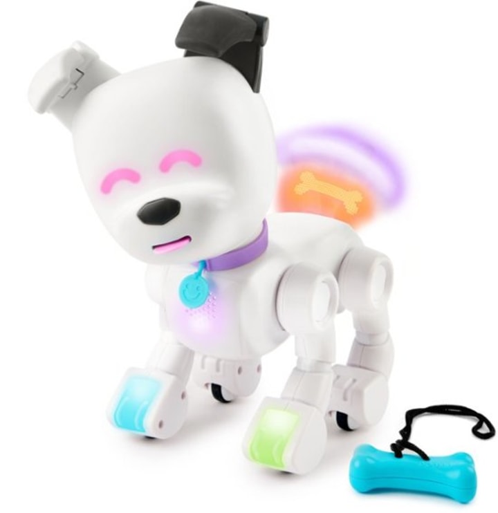 Interactive Robot Dog