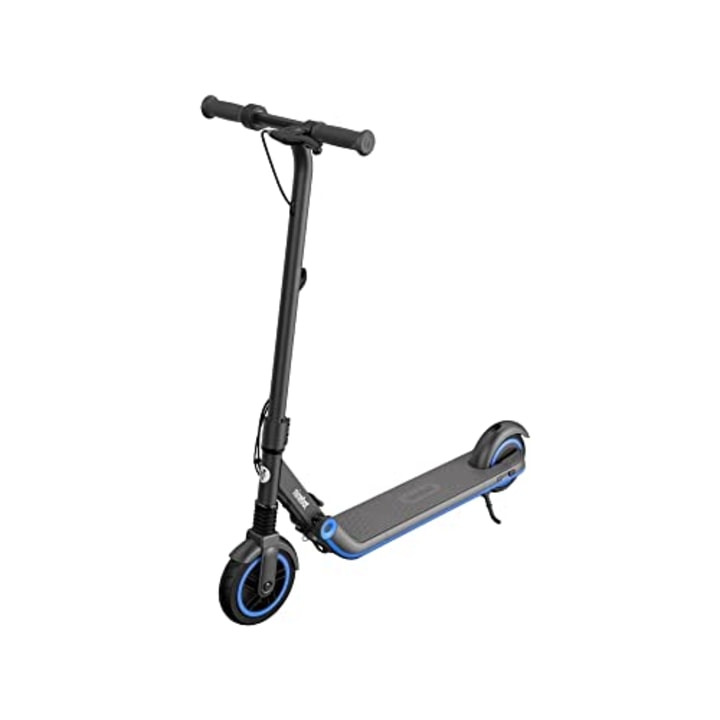 Segway Electric Kick Scooter