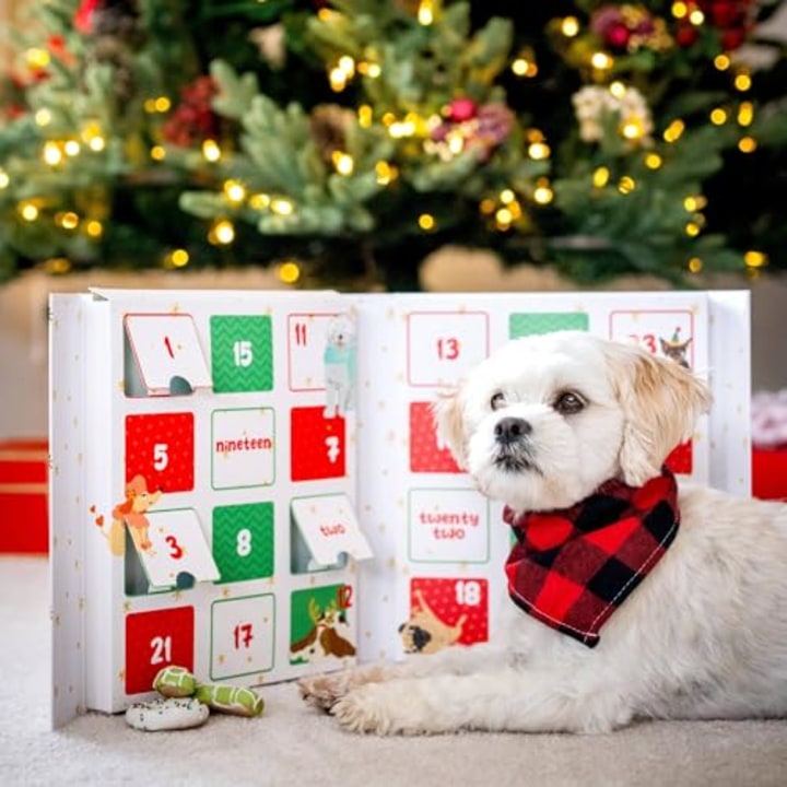 Wufers Advent Calendar Dog Cookie Box | Handmade Hand-Decorated Dog Treats