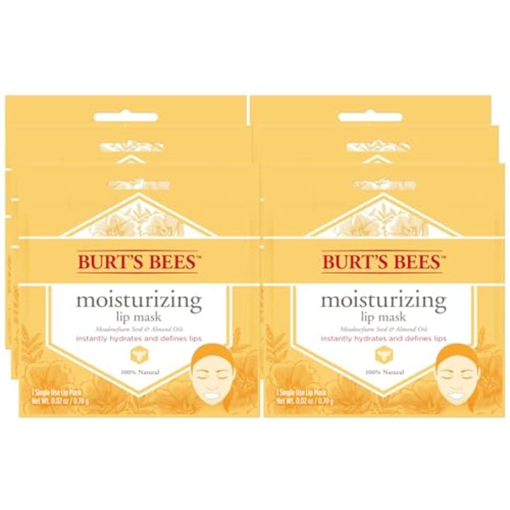 Burt’s Bees Moisturizing Lip Mask