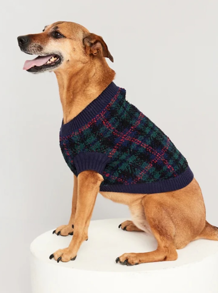 Old Navy Cozy Printed Sweater for Pets