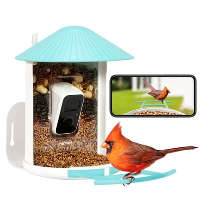 Birdfy Smart Bird Feeder with Camera for Bird Feeding and Watching - 1.5 lb Capacity