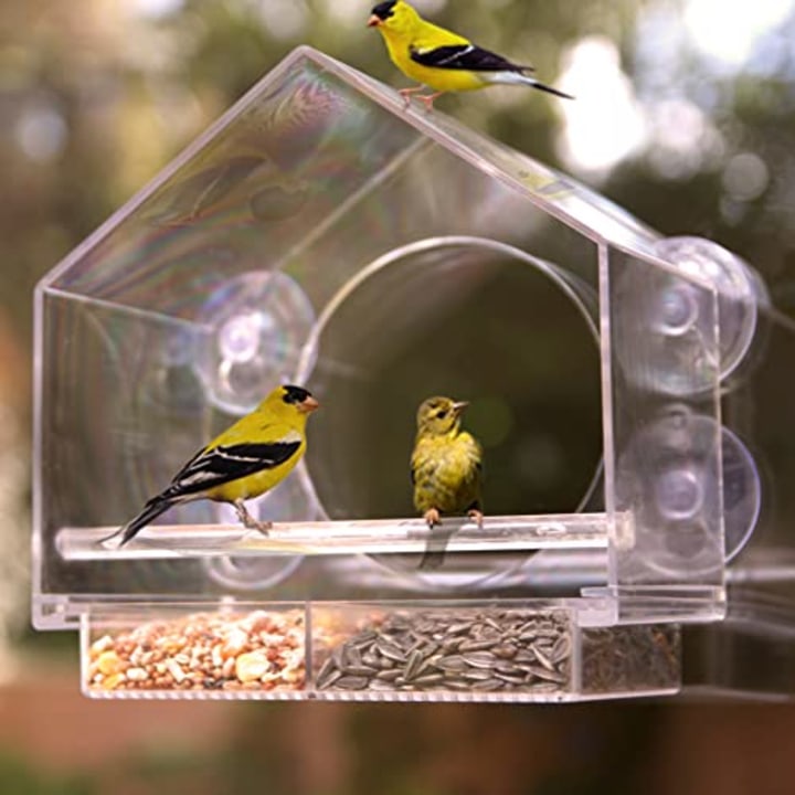 Nature Anywhere Premium Clear Plastic Window Bird Feeder