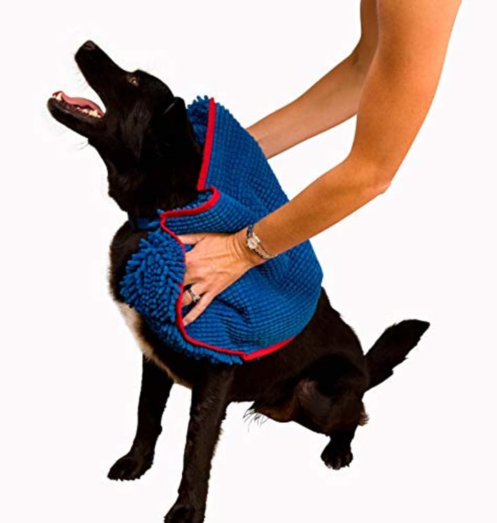 22 Best Pet Gifts - for Dogs, Cats, & More