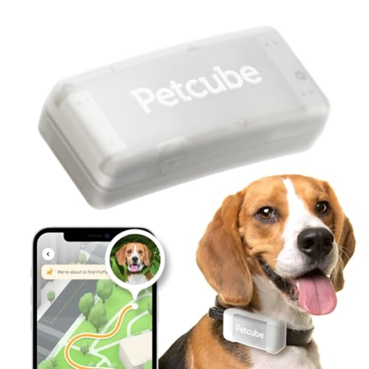 Petcube GPS Tracker