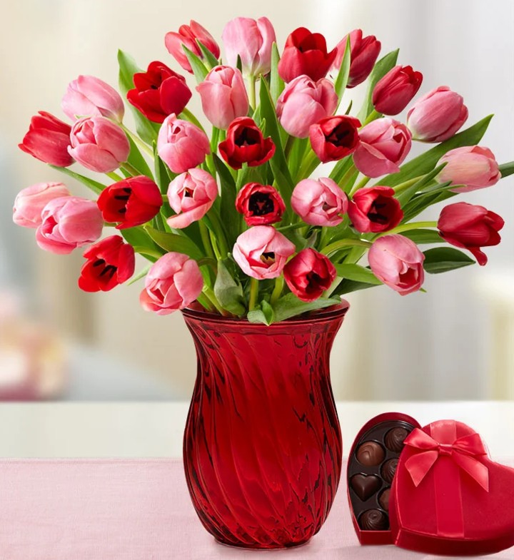 1-800-Flowers Sweetest Love Tulips