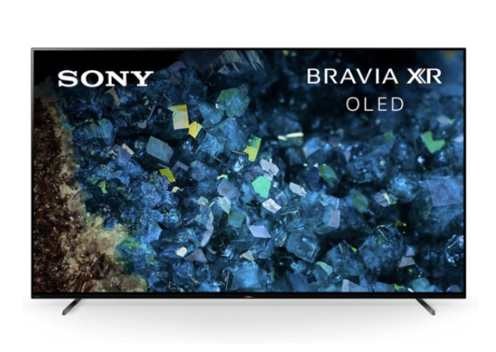Sony A80L Series 65" TV
