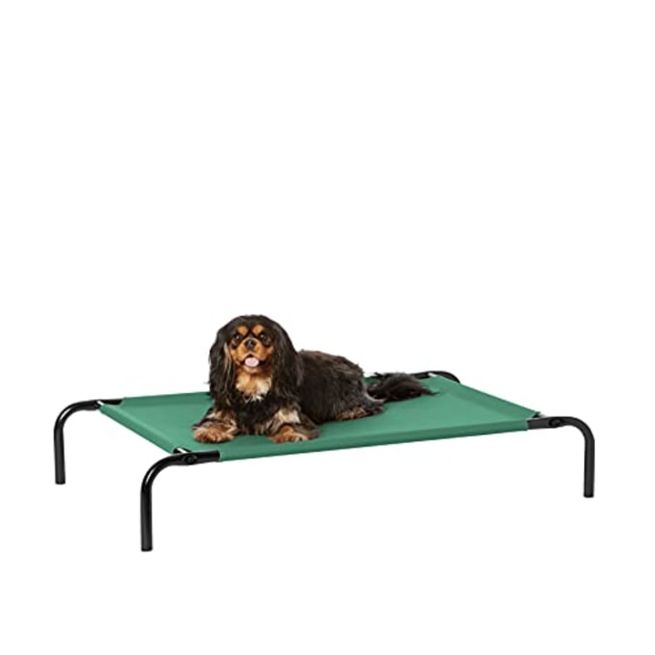 Get the Best Cooling Bed for Dogs