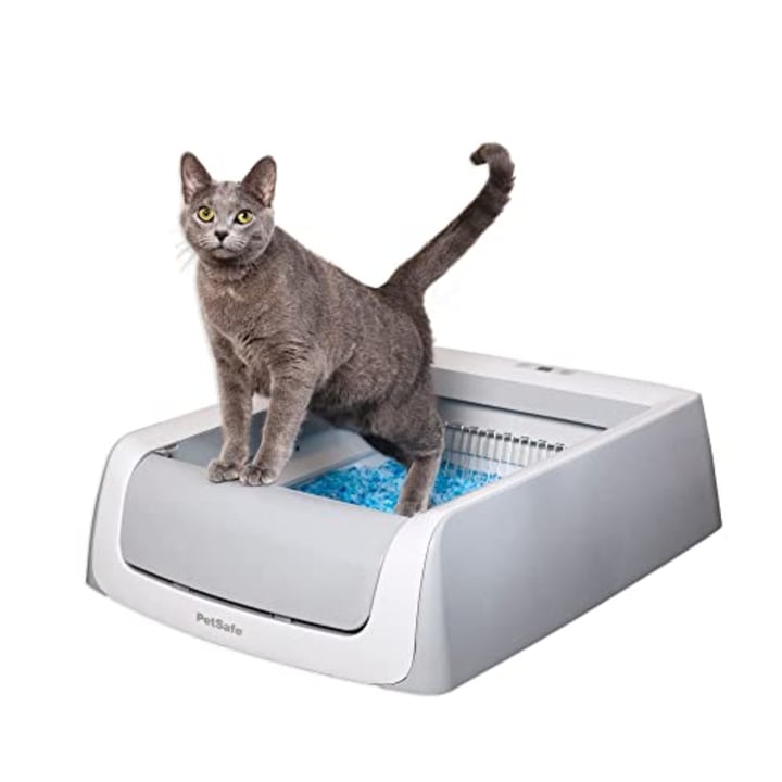 Best kitty litter outlet system