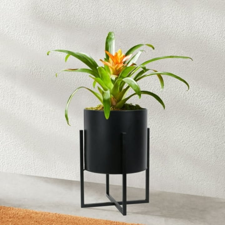 Mainstays 11 inch Black Round Metal Planter with Stand