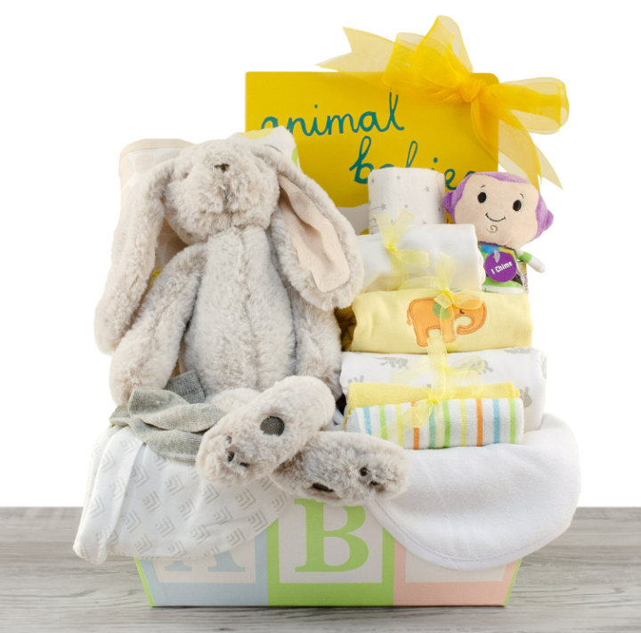 Welcome Home Baby Medium Gift Basket