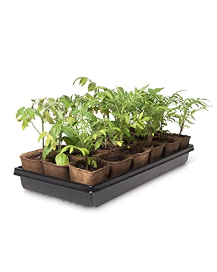 Gardener’s Supply Company Square Biodegradable Pots & Tray Set