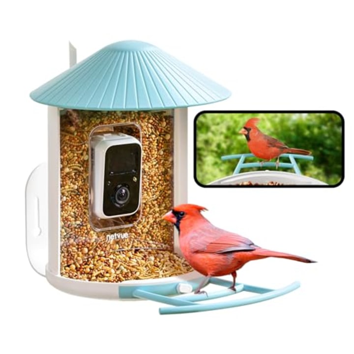 Birdfy Smart Bird Feeder with Camera