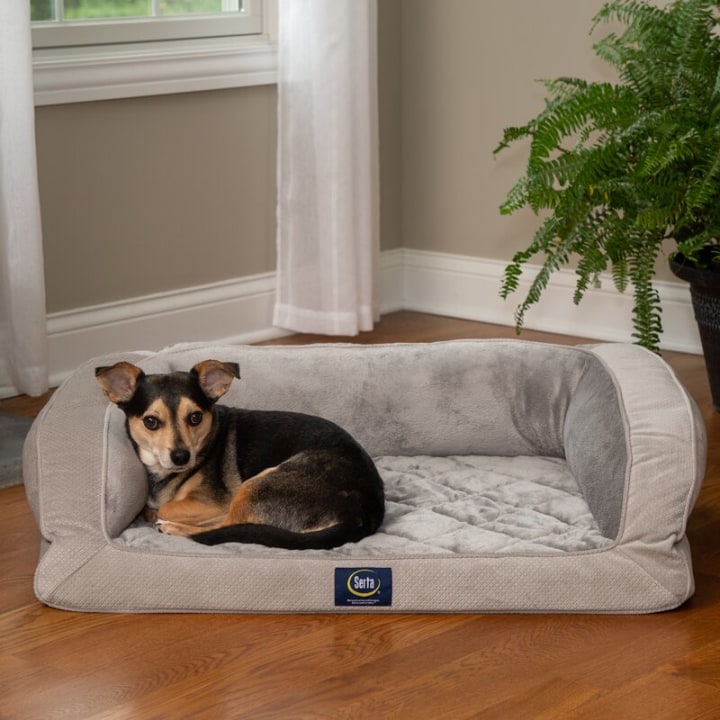 Serta Quilted Couch Pet Bed